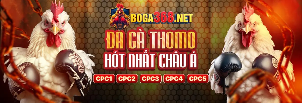 Đá Gà Trực Tuyến Hấp Dẫn tại Banca90 Xổ Số